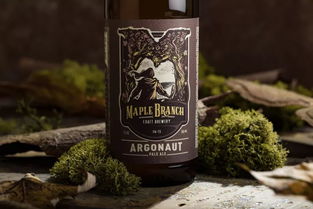 匠心與品味 精品啤酒包裝設(shè)計(jì)與酒類經(jīng)營新思維